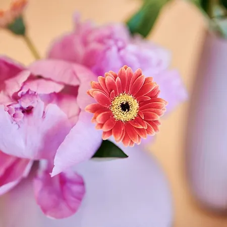 샬레 Omesberg-huett'n