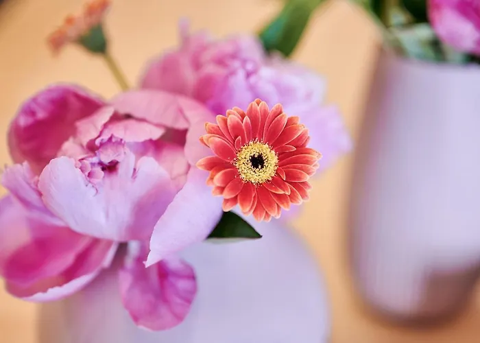 Chalet Omesberg-huett'n